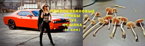 первитин Елизово