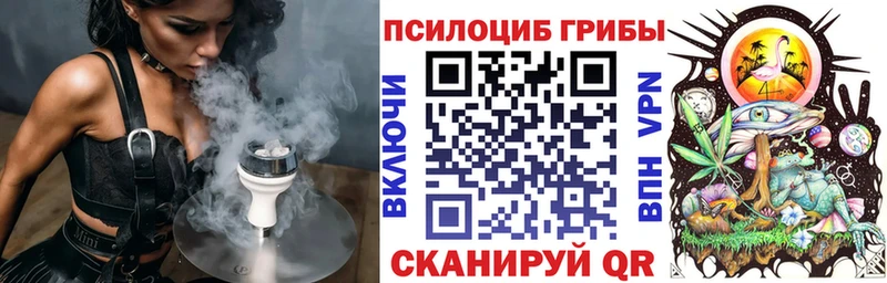 Купить закладки  Зеленоградск  Псилоцибиновые грибы Psilocybe 