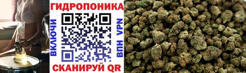 Бошки марихуана Ganja  Купить закладки  Зеленоградск 